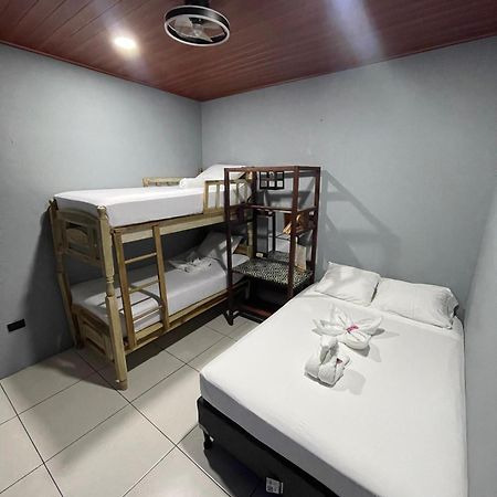 Madrono Hostel León Dış mekan fotoğraf